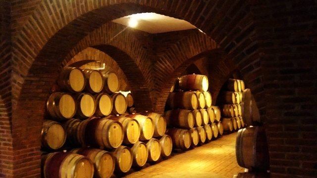  瓜达卢佩 adobe 酒窖 